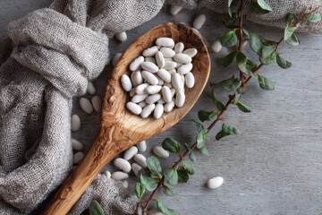 White navy beans in a wooden spoon on a gray table background with natural elements