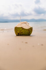 Fresh green coconut with straw on sandy beach, calm sea and distant mountains, tropical vacation scene 