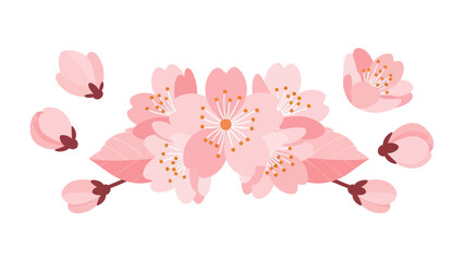 Delicate Pink Cherry Blossoms Collection with Buds and Leaves on White Background