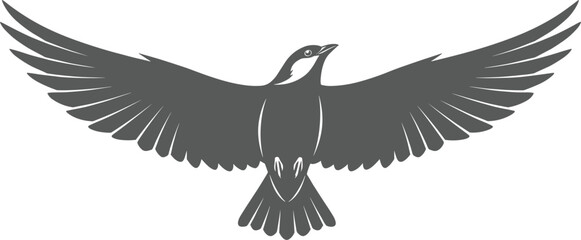 Obraz premium Flying bird silhouette illustration with open wings, black and white vector design, wildlife bird drawing artwork, freedom nature symbol, avian graphic sketch