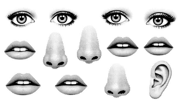 Black and white halftone face elements vector collection