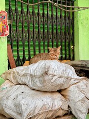 Urban railway scene showing informal settlement and social contrast in Mumbai India
