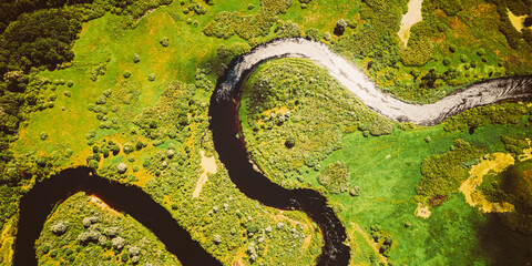 Aerial View Green Forest Woods And River Landscape In Sunny Spring Summer Day. Top View Of...