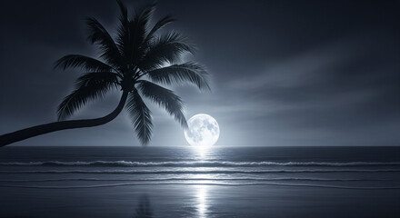 palm tree on the sea and moon