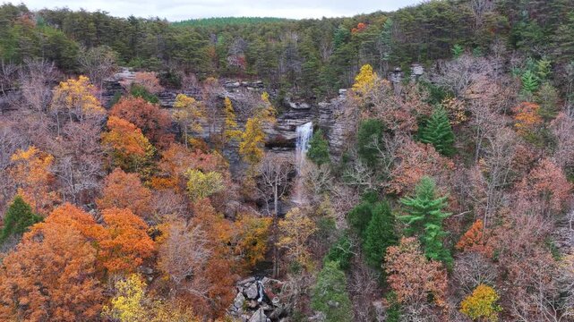 Wide aerial drone view of Laurel Falls tucked into a forested canyon, showcasing expansive fall foliage across the landscape.