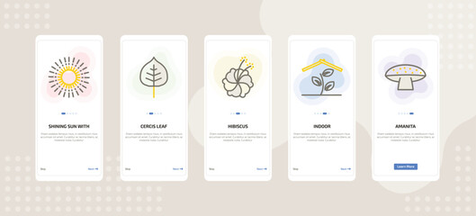 onboarding screen template for nature mobile app ui with shining sun with rays, cercis leaf, hibiscus, indoor, amanita icons. © Farahim