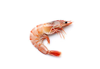 Fresh raw shrimps isolated on white background.