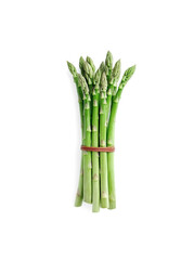 green asparagus on a white background