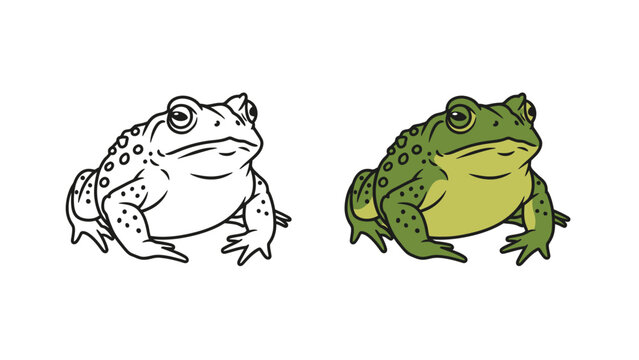 Illustration comparing a detailed black and white line art drawing of a toad next to a fully colored vibrant green amphibian design for creative projects