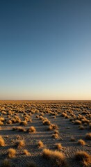 A wide, barren expanse of land showing minimal vegetation and endless horizons under a bright, desolate afternoon light ,scrub ,travel ,wide
