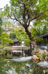 Fototapeta premium Tree at the pond in the humble administrators garden in Suzhou, China