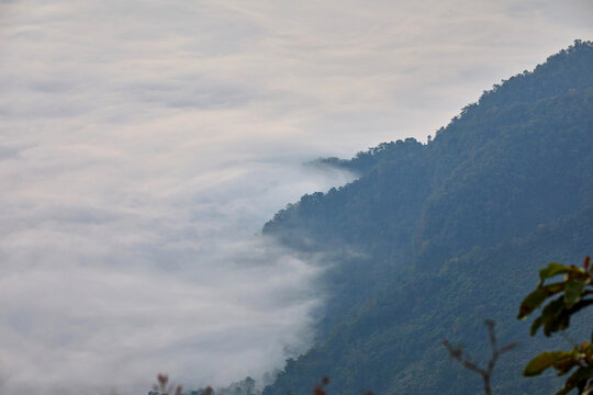 Lush green mountains shrouded in atmospheric mist and fog under a soft