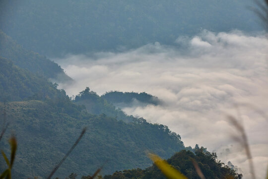 Lush green mountains shrouded in atmospheric mist and fog under a soft