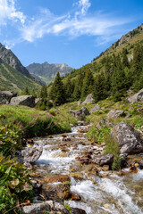 Mountain stream flowing through Gurtnellen valley in Swiss Alps