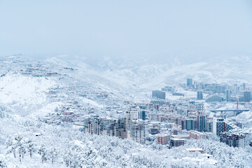 Tbilisi Winter Cityscape Under Heavy Snow and Cold Sky