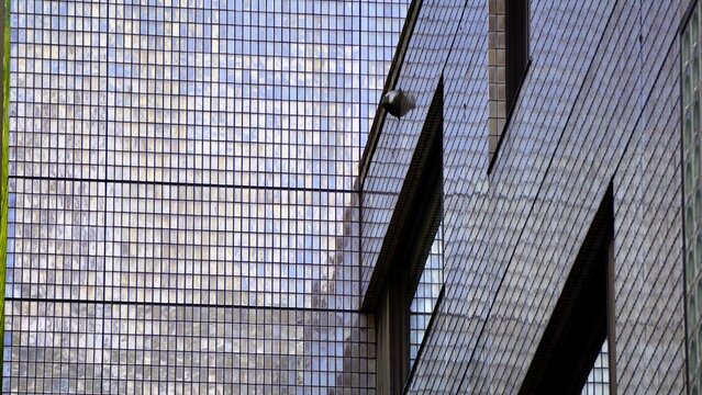 Closeup of dichroic tile cladding on a building in Japan