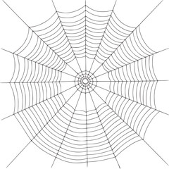 Obraz premium Detailed black ink spiderweb radial pattern intricate