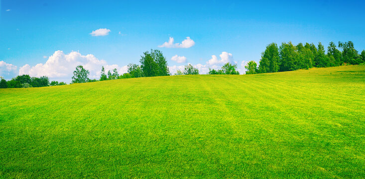 Wide panoramic view of a fresh green lawn in a sunny park with blurry trees and blue sky. A peaceful spring nature background perfect for landscape design.