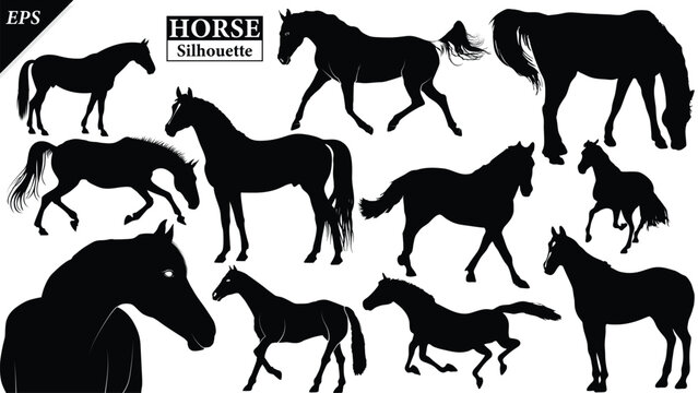 set of Horse Silhouette Vector Illustration in Black Color, Powerful Galloping Horses Animal Shape, Clean Editable Silhouette for Logo Design, Branding, T Shirt Print, Wall Art, Poster, Tattoo Stock 