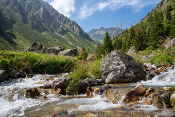 Mountain stream flowing through Gurtnellen valley in Uri
