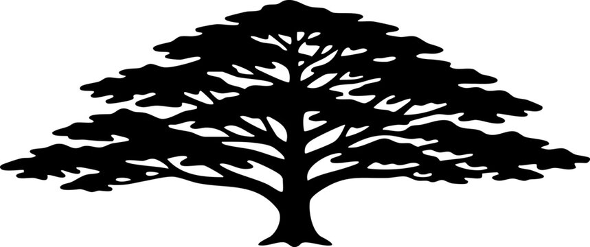 Majestic cedar tree silhouette isolated on white background minimalist evergreen conifer and forest nature illustration