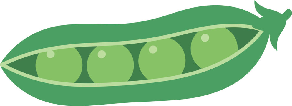 Green pea pod illustration isolated on white background for healthy food and nutrition concepts