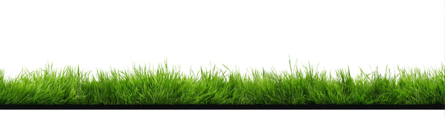 Vibrant Green Grass Lawn Isolated on White Background - A Fresh Nature Border and Organic Cutout Element