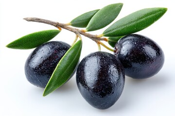 Macro shot of black olives on a branch with leaves, minimal white backdrop