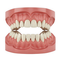Obraz premium Dental model isolated on transparent background
