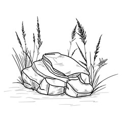 A stone lies on the ground, grass grows nearby, a grasshopper sits, black and white sketch. Vector illustration. Boulder in the bushes isolated on a white background. Simple style drawing, hand drawn