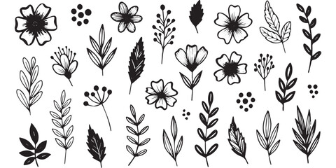 Fototapeta premium Hand Drawn Floral Elements and Botanical Illustrations Set.