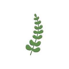 green plant on a white background