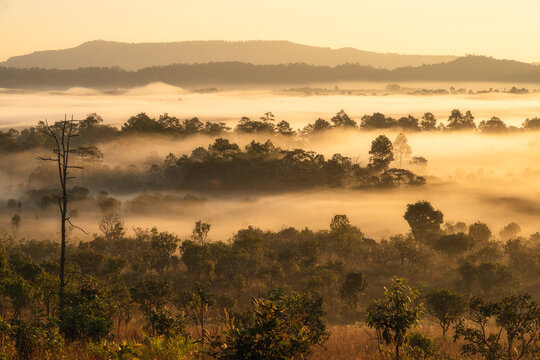 mountain peaks in morning fog - foggy morning over thailand moun