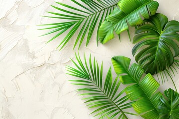 A vibrant arrangement of tropical palm leaves against a textured cream background, evoking a fresh and natural aesthetic.