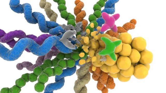 Dynamic 3D animation illustrating molecular interactions, enzyme catalysis, and substrate breakdown at a cellular level