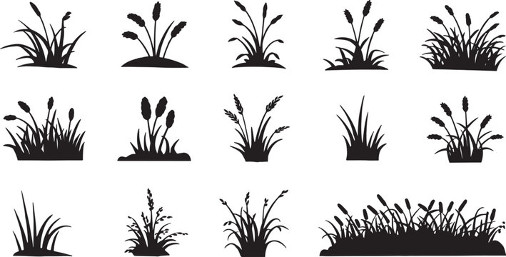 Set of black silhouettes of various grass and plants