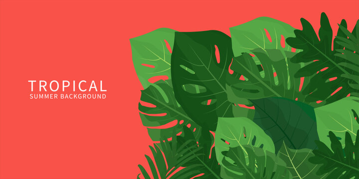 tropical jungle horizontal, banner template for summer season. nature background featuring tropical hibiscus flowers and palm leaves with a summer vibe for celebration, ads, branding, banner, cover, 