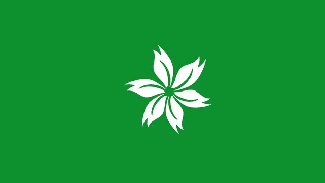 Stylized white six-petal flower graphic design centered on a vibrant solid emerald green background representing nature or environmental symbolism in simple minimalist art.