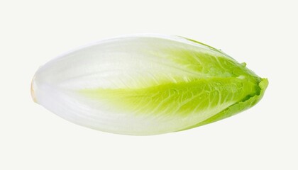 Fresh Endive Isolated on White Background, Leafy Vegetable with Slightly Bitter Flavor Used in Salad and Gourmet Cuisine Concept