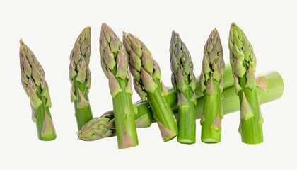 Fresh Asparagus Isolated on White Background, Asparagus officinalis Tender Green Stem Vegetable Concept