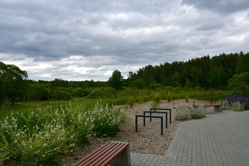 Fototapeta premium A view of a vast meadow, lawn or pastureland surrounded with trees, shrubs, flowers and other flora seen next to a biking path, some wooden benches and bike stands in summer in Poland