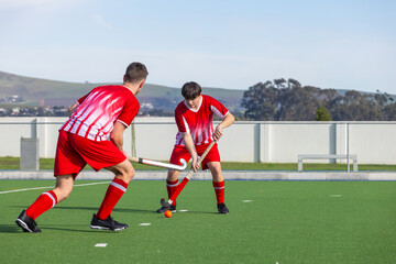 Fototapeta premium Male teammates crouching and controlling ball on artificial turf hockey pitch with sticks