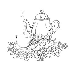 Cranberry Tea in Teapot aroma beverage Outline Illustration. Vector isolated for Design and Decoration for Cafeteria, Posters, Banners, Cards.