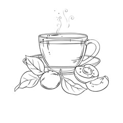 Cup of Apricot Tea aroma beverage Outline Illustration. Vector isolated for Design and Decoration for Cafeteria, Posters, Banners, Cards.