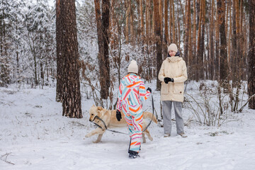 Two teenagers and adult woman walking golden retriever dog through snowy pine forest during winter family walk and outdoor leisure