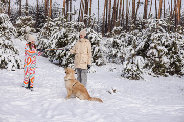 Two teenagers playing tug with Golden Retriever in snowy pine forest, winter outdoor leisure, joyful family moment