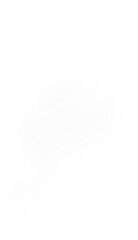 Steam from food. Coffee smoke, hot tea effect. Cooking vapor with transparency