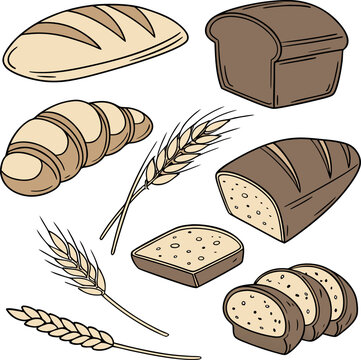 Various types of bread, including loaves, slices, and rolls, are arranged against a stark white background. The image showcases a collection of baked goods, each distinct in shape, size, and crust typ