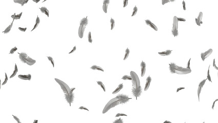 Abstract Falling Feathers on Black Background © Anh