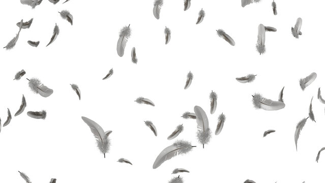 Abstract Falling Feathers on Black Background